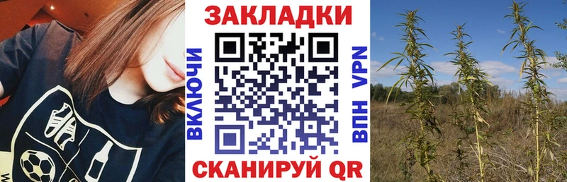 Купить закладку Малаховка Конопля COCAIN ГАШИШ АМФ Меф