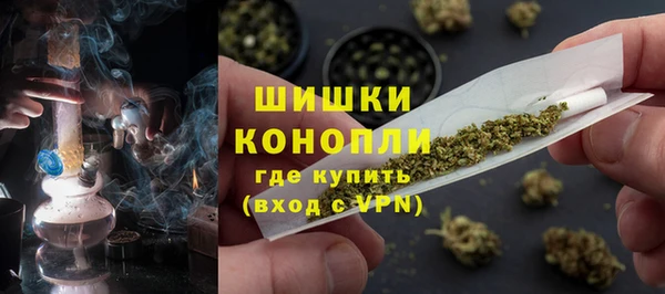 тгк Бородино