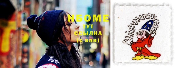 тгк Бородино