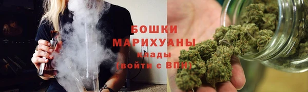 тгк Бородино