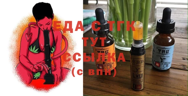 тгк Бородино